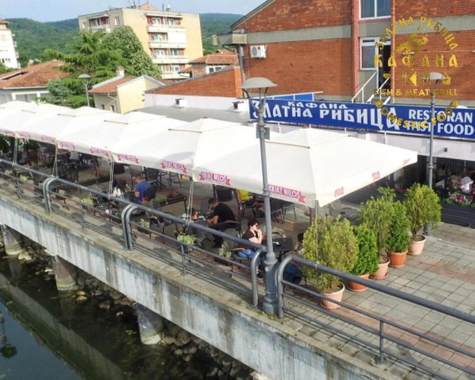 Appartement Zlatna Ribica à Golubac Extérieur photo
