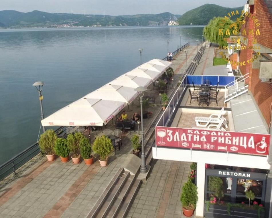 Appartement Zlatna Ribica à Golubac Extérieur photo