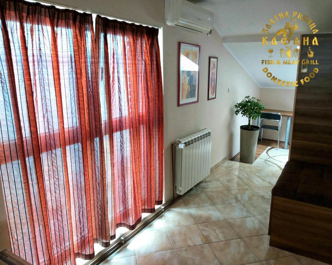 Appartement Zlatna Ribica à Golubac Extérieur photo