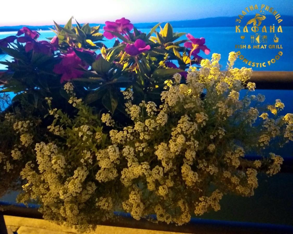 Appartement Zlatna Ribica à Golubac Extérieur photo
