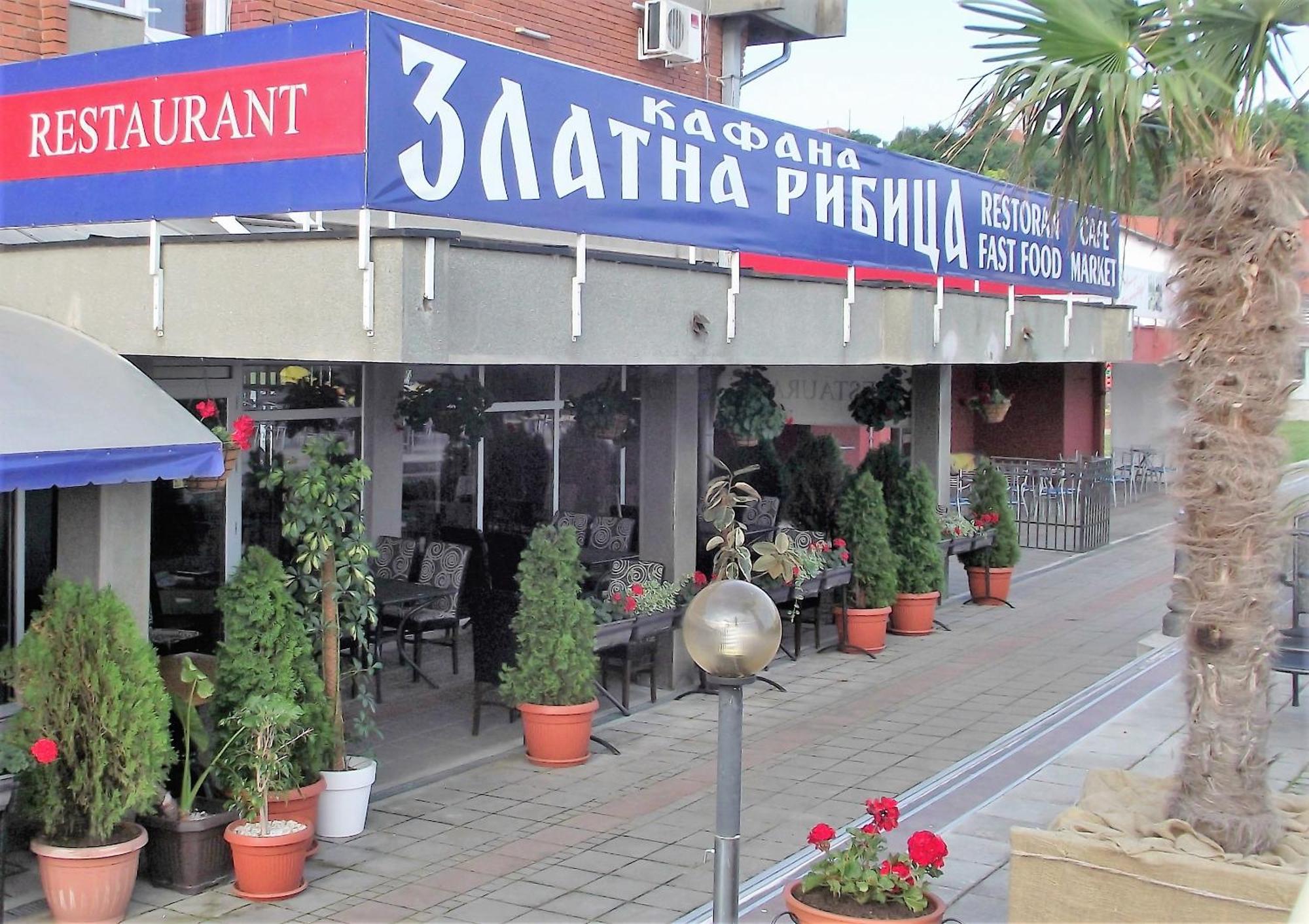 Appartement Zlatna Ribica à Golubac Extérieur photo