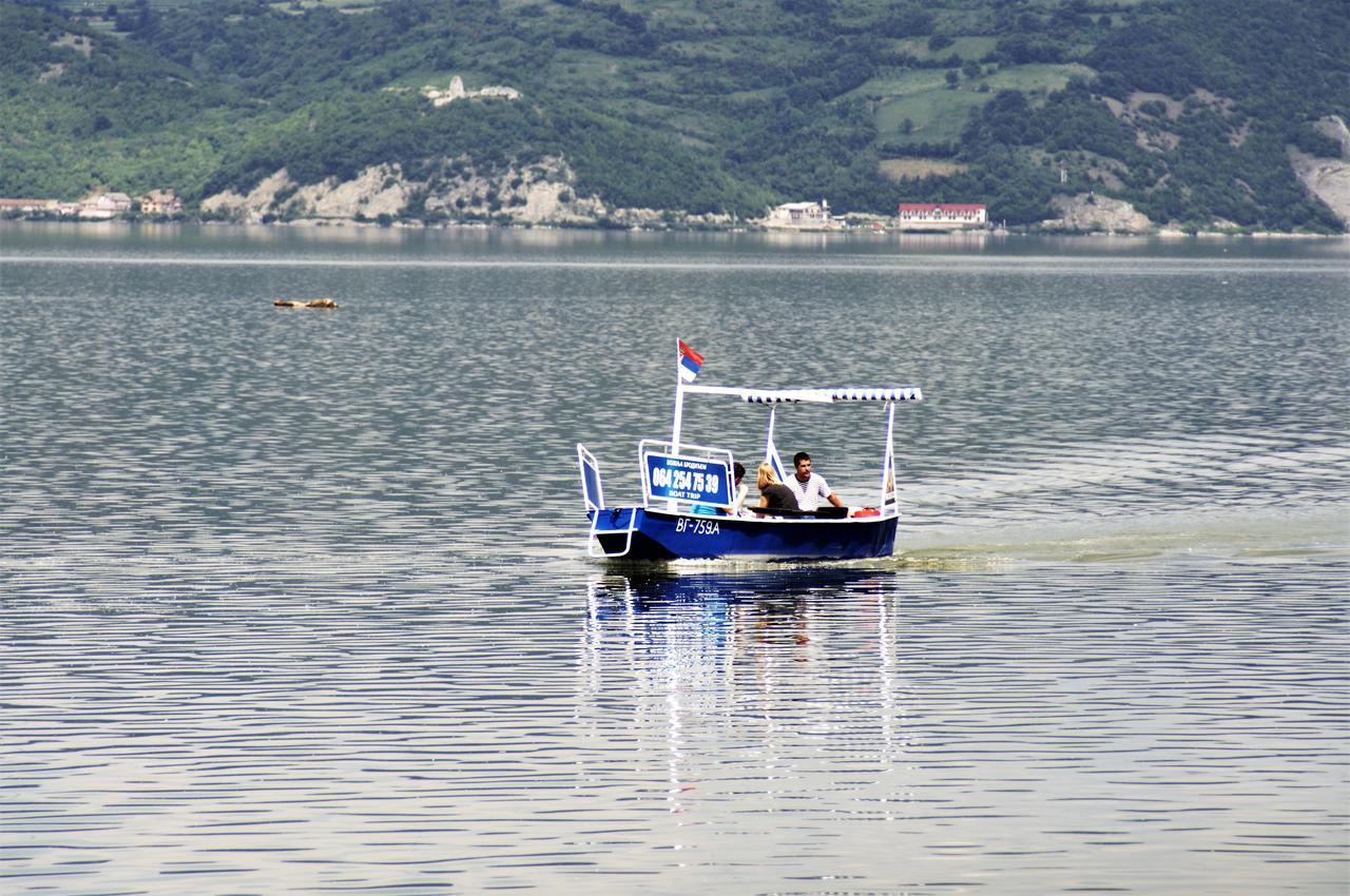 Appartement Zlatna Ribica à Golubac Extérieur photo